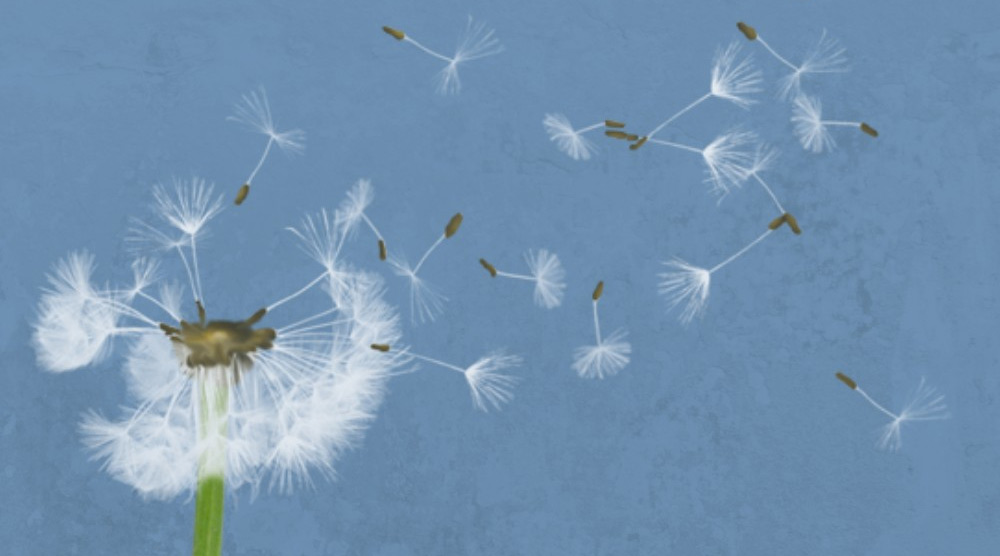 تمرین نزدیک شدن به خدا