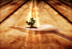 بهترین زمان برای دریافت نعمت