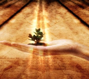 بهترین زمان برای دریافت نعمت