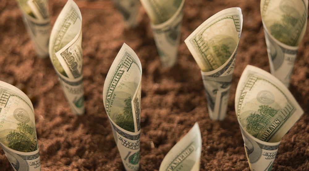 5 راه پول در آوردن