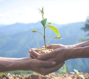 اهمیت تمرکز بر ربوبیت در قرآن