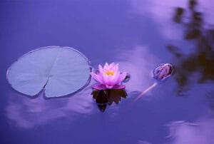 خدا منبع عشق و آرامش بی‌ پایان