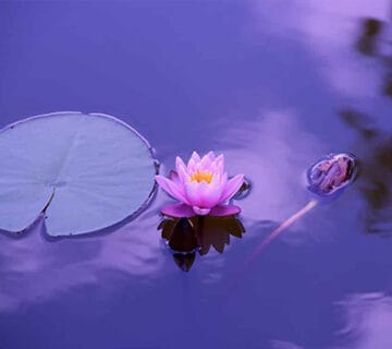 خدا منبع عشق و آرامش بی‌ پایان