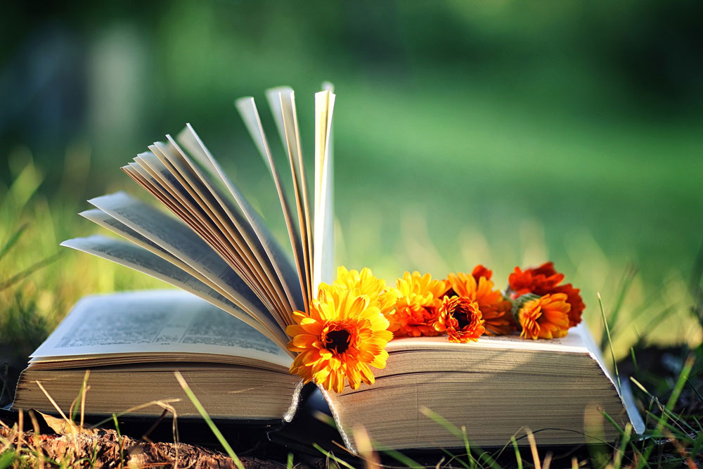 10 کتاب موفقیت که زندگی‌ات را تغییر می‌دهند