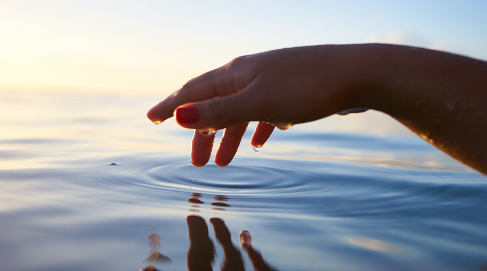 مدیتیشن آلفا جو دیسپنزا