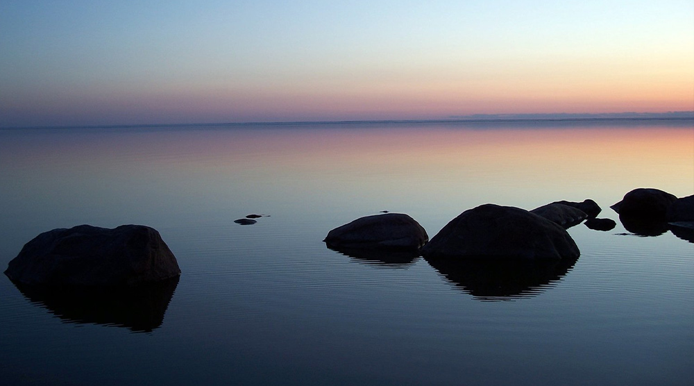 مدیتیشن آلفا جو دیسپنزا