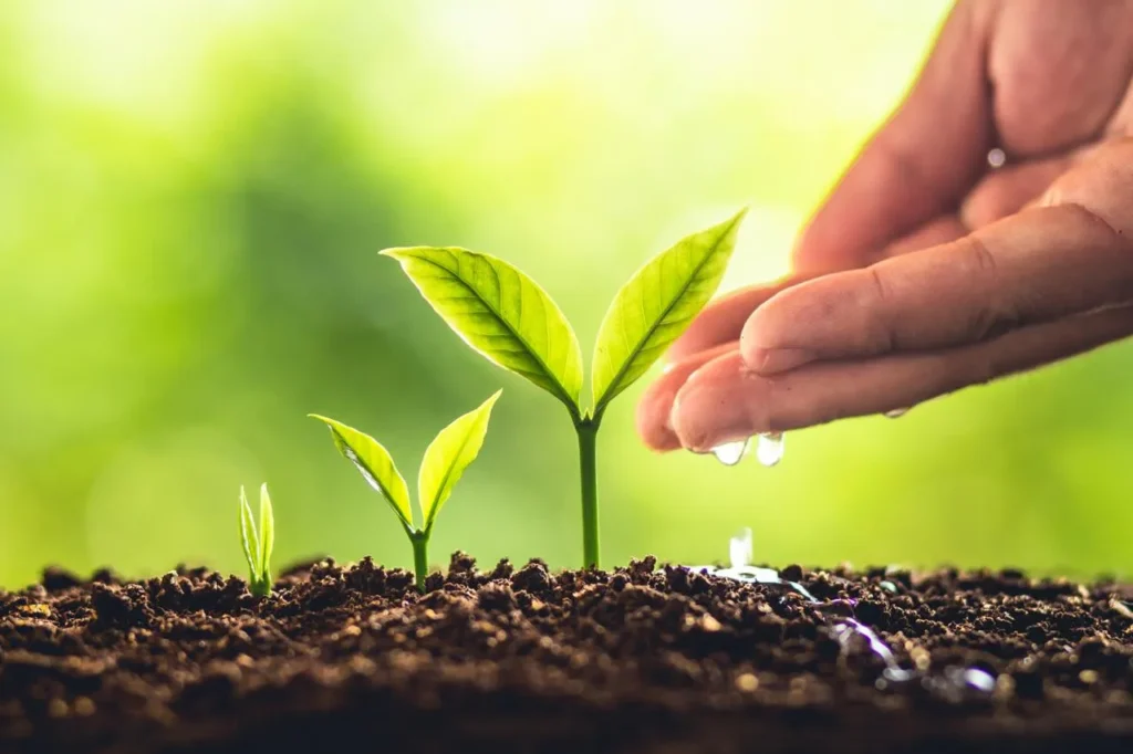 راهنمای جامع رشد فردی و تحول درونی
